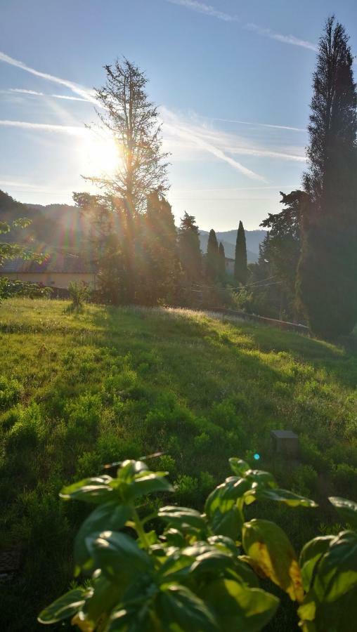 Pensjonat Palazzo Boccella Villa Basilica Zewnętrze zdjęcie